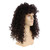 Eonfiwg Dark Brown Mens Long Curly Wig 70s 80s Rocker Costume Syntheic Wig for Halloween Cosplay Party