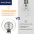 FLSNT G125 Decorative Large Globe LED Bulb, Dimmable Oversized Edison Bulb, 2700K Warm Light, 7W (40W Eq.), 300lm, CRI90, E26, Vintage Light for Pendant, Wall Sconce, Lamp, Smoky Inner Design 1 Pack