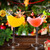 Cocktail Glass Bird Glasses Drinking Cocktail Wine Glass 5oz/150ml Set of 4 Unique Champagne Coupe Glass Martini Goblet Cups 4pcs Glassware for KTV Home Bar Club