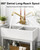 Aolemi Laundry Utility Sink Faucet,Wall Mount,9 Inch Spout,Chrome and Brass