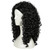 IMEYLE 17 In Long Black Curly Wig Men Wigs for Mens Long Hair Wig