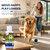 Liquid Glucosamine for Dogs, Hip & Joint Supplement with Chondroitin 16 oz