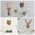 GUASDIE Animal Heads Wall Decor, Gold Faux Deer Head Mount, Animal Sculptures Wall Decor, Vintage Resin Hanging Decoration for Living Room Bedroom Kitchen Office Gift,5pcs