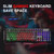 Rii RK100+ Multiple Color Rainbow LED Backlit Large Size USB Wired Mechanical Feeling Multimedia PC Gaming Keyboard,Office Keyboard for Working or Primer Gaming,Office Device(New RK100+)