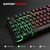 Rii RK100+ Multiple Color Rainbow LED Backlit Large Size USB Wired Mechanical Feeling Multimedia PC Gaming Keyboard,Office Keyboard for Working or Primer Gaming,Office Device(New RK100+)