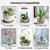 Landscaping Pebbles, River Rocks, Decorative Garden Stones