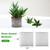 Yoption 6 Pack Plant Root Guard Baskets, Reusable Stainless Steel Wire Baskets Protect Plant Roots, Anti Gopher Wire Baskets for Underground Plants Trees Flowers Root, 5 Gallon