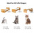 FUKUMARU Elevated Cat Ceramic Bowls, Small Dog 15° Tilted Raised Food Feeding Dishes, Solid Bamboo Water Stand Feeder Set for Cats and Puppy
