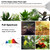 STERREN LED Grow Lights, Plant Floor Lamp for Indoor Growing