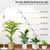 STERREN LED Grow Lights, Plant Floor Lamp for Indoor Growing