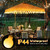 Hohean 1 Pack 40ft 80LEDs Canopy Lights for 10'x 10' Pop Up Canopy Tent
