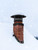 10 Inch Round Chimney Cap: Cone Top Fireplace Chimney Caps for Outside with Screen- All Weather & No Assembly Stove Pipe Roof Vent Cap Cover to Fit Existing Clay Flue Tile Sizes, Black