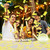 Confetti Cannon Yellow Biodegradable Confetti Poppers 12Pack Party Poppers Shooters Yellow Sticks for Wedding Graduation Engagement Anniversary Bridal Shower Valentines Day Birthday