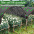 118.1" x 78.7" Winter Plant Cover Freeze Protection with 6 Sets of 7FT Greenhouse Hoops for Raised Beds Plant Protection Cover for Outdoor Vegetable and Chicken Coops Protect Snow and Ice in Winter