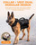 LISPOO Adjustable Dog Weight Vest with Pockets for Exercise, Medium Dogs, M