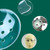 NUDFSY 2Pairs Eye Shield After Cataract Surgery Lightweight and Comfortable Eye Patch, Eye Shield, Eyepatch Porous Design With Strong Breathability Suitable for The Majority Of The Population
