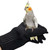Anti Bite Gloves for Birds - Steel Wire Reinforced Parrot Training & Handling Protective Mittens | Durable Bird Grooming Nail Trimming & Small Animal Care Gloves for Cockatiels Macaws Finches Hamsters