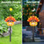 Thanksgiving Solar Lights Outdoor Decorations 4-in-1 Fall Outdoor Solar Lights Stakes Hand Painted 3D Turkey Pumpkin Lights for Halloween Christmas Garden Yard Pathway Lawn Decor Gift(8.5ft) Thanksgiving Solar Lights Outdoor Decorations 4-in-1 Fall Outdoor Solar Lights Stakes Hand Painted 3D Turkey Pumpkin Lights for Halloween Christmas Garden Yard Pathway Lawn Decor Gift(8.5ft)