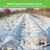 YFFSIDMY Plant Covers Freeze Protection 8'x40', Frost Blankets for Outdoor Plants and Trees, Frost Cloth Freeze Plant Protection Cover, Winter Frost Blanket, Heat Protection Floating Row Cover, White YFFSIDMY Plant Covers Freeze Protection 8'x40', Frost Blankets for Outdoor Plants and Trees, Frost Cloth Freeze Plant Protection Cover, Winter Frost Blanket, Heat Protection Floating Row Cover, White