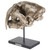 SUMMIT COLLECTION Polystone Resin Sabertooth Tiger Skull Replica Model On Stand with Name Plaque Home Decor Interior Design Sculpture 12.5 Inches Wide