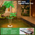 OUSHENG Solar Lighted Palm Tree for Outside Patio, 6' 3 Trunks Outdoor Christmas Decoration Decor, Light Up LED Artificial Trees Lights for Bar Home Party Yard Pool Porch Deck Tropical OUSHENG Solar Lighted Palm Tree for Outside Patio, 6' 3 Trunks Outdoor Christmas Decoration Decor, Light Up LED Artificial Trees Lights for Bar Home Party Yard Pool Porch Deck Tropical