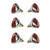 BONGBADA 6 Pack 250W Red Heat Lamp Infrared Bulbs Glass Lamp Bulb for Food Service, Brooder Bulb, Chicks, Pet, Bathroom, Light Therapy Use E26 Base, Flood Light Heat Lamp