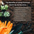 GARDENWISE Premium Pine Bark Nuggets – Pine Bark Mulch for Gardens, Landscaping, Potted Plants, and Wood Chips for Garden Beds (1 CF - 28 L - 30 QTS)