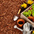 GARDENWISE Premium Pine Bark Nuggets – Pine Bark Mulch for Gardens, Landscaping, Potted Plants, and Wood Chips for Garden Beds (1 CF - 28 L - 30 QTS)