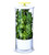 NOVART XXL Herb Keeper and Herb Saver – Glass Storage Container for Cilantro, Mint, Parsley, Asparagus, Keeps Greens Fresh for 2-3 Weeks