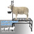Lezbanz 600 LBs Goat Stand with Feed Bin, Goat Milking Stand for Sheep Trimming and Milking, Hoof Trimming Stand Adjustable Size, with Feeder, Iron Black