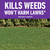 Roundup for Lawns₄ Ready-to-Use (Southern) - All-in-One Weed Killer for Lawns, Extended Reach Wand, 1 gal.