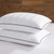 downluxe Goose Feather and Down Pillows - Hotel Collection Feather Pillows for Back, Stomach or Side Sleepers, Bed Pillows King Size Set of 2 (20"x36")
