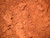 HANNIBALS DINER RED Soil Dirt Clay Georgia - 3 POUNDS from