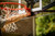 Silverback Standard Breakaway Rim with Nylon Net Compatible and Goaliath Portable Basketball Hoops