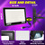 NEWREACH 2 Pack 500W LED Black Light, IP66 Waterproof Outdoor Blacklight Flood Light Spotlight with Plug, Switch, Cord for Neon Glow Party Fluorescent Poster Body Paint Stage Lighting Halloween Decor