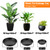 BamLue 12 Pack Upgrade Thickened Plant Saucer - 6 8 10 Inch Plant Trays Round Plastic Plant Drip Dishes for Indoor Outdoor Garden Plants- Collects Flower Pots Drainage and Excess Water for Planters