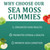 Sea Moss Gummies 16-in-1 | Irish Seamoss Gummies for Women Men with Black Seed Oil & Ashwagandha & Burdock & Bladderwrack | Boosts Immune Support, Skin Health and Digestion | 30 Gummies