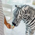 Melissa & Doug Giant Striped Zebra - Lifelike Stuffed Animal (Nearly 3 feet Tall)