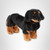 Melissa & Doug Giant Dachshund - Lifelike Stuffed Animal Dog Large