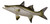 Replica Snook Ocean Coastal Fly Fishing Wall Decor