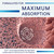 Biotics Research A.D.P. Emulsified Oil of Oregano Tablets for GI Health -Sustained Release for High Absorption Contains Carvacrol, Wild Oregano Oil 50mg/S - Patented Formula -Non GMO –60 Tablets