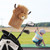 Curly-haired Highland Cow Driver Headcover Funny, Soft Cozy Plush Animal Golf Driver Head Cover Brown