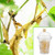 Honeydak 50 Pack Praying Mantis Habitat, Live Chinese Ootheca Praying Mantis Egg Case Clear Incubator Cup Hatching Habitat Kit, Mantises Ootheca Not Included