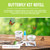 Nature Gift Store 5 Live Caterpillars Shipped Now- Butterfly Kit Refill+Supplies