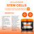 Liss Expert Stem Cells Smoothing Treatment – Organic Keratin & Argan Oil – Frizz-Free Repair & Shine – Professional Straightening – ONE Shoulder Length Applic– plus salt free shampoo and conditioner