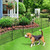 Adavin Tall Garden Fence Animal Barrier, 32 in(H) X 8.8 Ft(L) 4 Panels Dog Fences Outdoor for Yard, Black Heavy Duty Metal Temporary Fence, No Dig Garden Fencing for Yard Flower Bed Lawn Patio