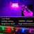 SZSSXPL 20 Pcs Rock Lights Purple Strip Lights Wheel Fender Well Underglow Led Lights for Cars Exterior Side Marker for Truck Golf Cart Wrangler RV RV SUV Offroad