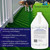 BioTurf BioS+ Odor Eliminator Concentrate – Artificial Turf Cleaner for Pet Urine Outdoor & Yard Deodorizer for Dog Urine and Waste – Enzyme Formula, Safe for Pets, Kids & Plants – 1 Gallon