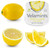 Velamints Fresh Cool Lemon Sugar Free Mints Tin - Fresh Breath Mint Aspartame-Free Sweetened with Stevia, 20 Gram (Pack of 6 Tins)