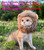 RosyLife Lion Mane Wig for Cat Costume Pet Adjustable Washable Comfortable Fancy Lion Hair Cat Clothes Dress for Halloween Christmas Easter Festival Party Activity (Brown)
